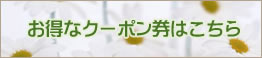 クーポン券はこちら